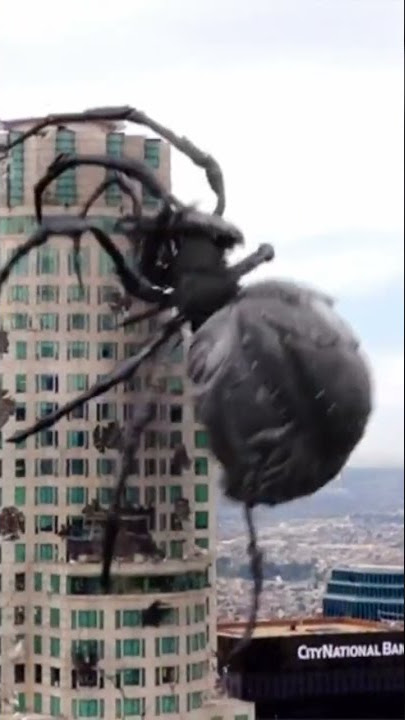 Monster Spider ! Mega Spider🕷️🕷️🕷️🕷️🕷️🕷️🕷️🕷️🕷️🕷️ Big Ass Spider Hollywood #shorts