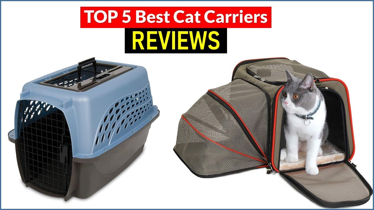 BEST 5 Cat Carriers Reviews Top 5 Best Cat Carriers Buying Guide