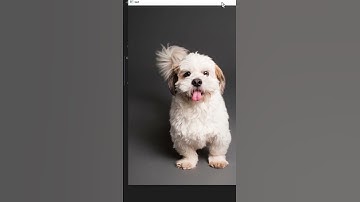 Read Images in opencv
