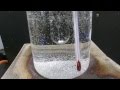 サリチル酸メチルの合成 の動画、YouTube動画。