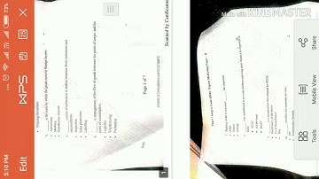 Tybcom sem 6 👉 export marketing, April 2019 , Mumbai university question paper