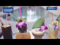 Drink Up: Cocktail Culture in the Crescent City