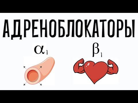 Адренергические антагонисты. Фармакология простым языком.