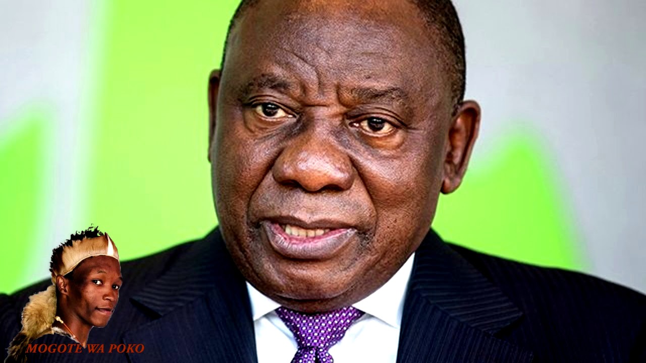 Mogote Wa Poko - TauTona Ramaphosa Aforika Borwa ea Buwa