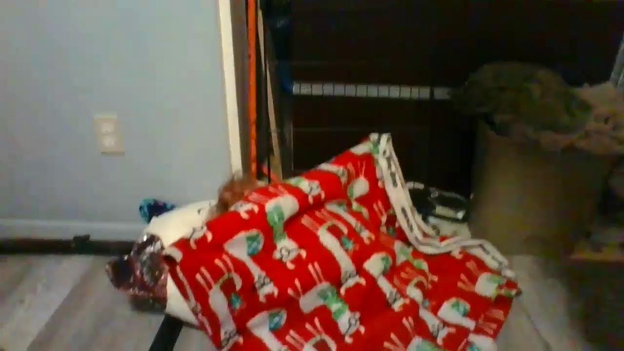 my reborn dolls night routine toddler Ella and my baby boy Ethan YouTube