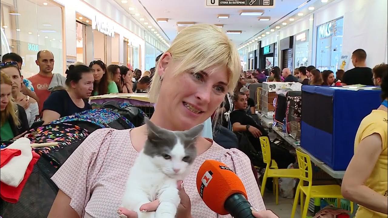 "Време за губене " - Отбор КОТКИ: 1. Манчкин - YouTube