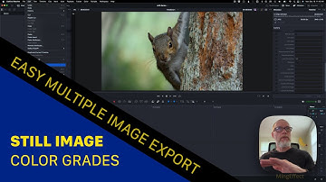 How To Export Multiple Images from Davinci Resolve - Color Grading  Images