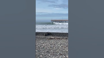 Thumbnail of Surfing Cayucos #805 #centralcalifornia #morrobay #pismobeach #cayucos #slo #waves #sea #saltwater