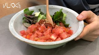 Vlog | Plant Shopping and Repotting,  Making Tomato Bibimbap, Cut Noodles Restaurant by 나나&나 nana&na 850 views 1 year ago 19 minutes