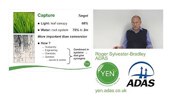 Yield Enhancement Network - Professor Roger Sylvester-Bradley