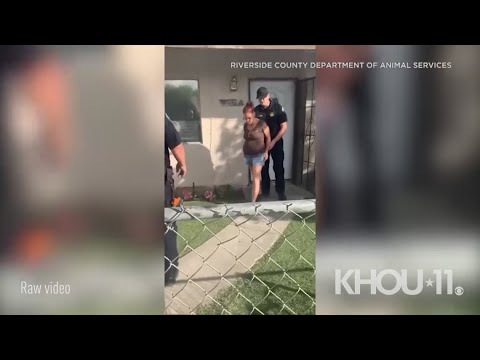 Watch: Woman who allegedly threw puppies in dumpster arrested in ...