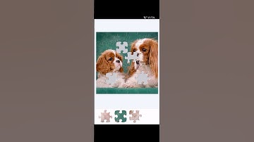 Puppies 🐶 Jigsaw Puzzle 🧩 #apt #labubu #relaxing #gameplay #puppy #cute #funny #dog #dogs