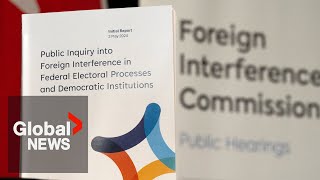 Foreign interference bill welcomed but needs work, diaspora groups say