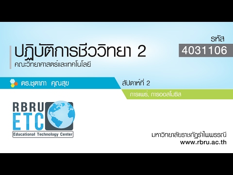 การแพร่ การออสโมซิส - ปฏิบัติการชีววิทยา 2 สัปดาห์ที่ 2