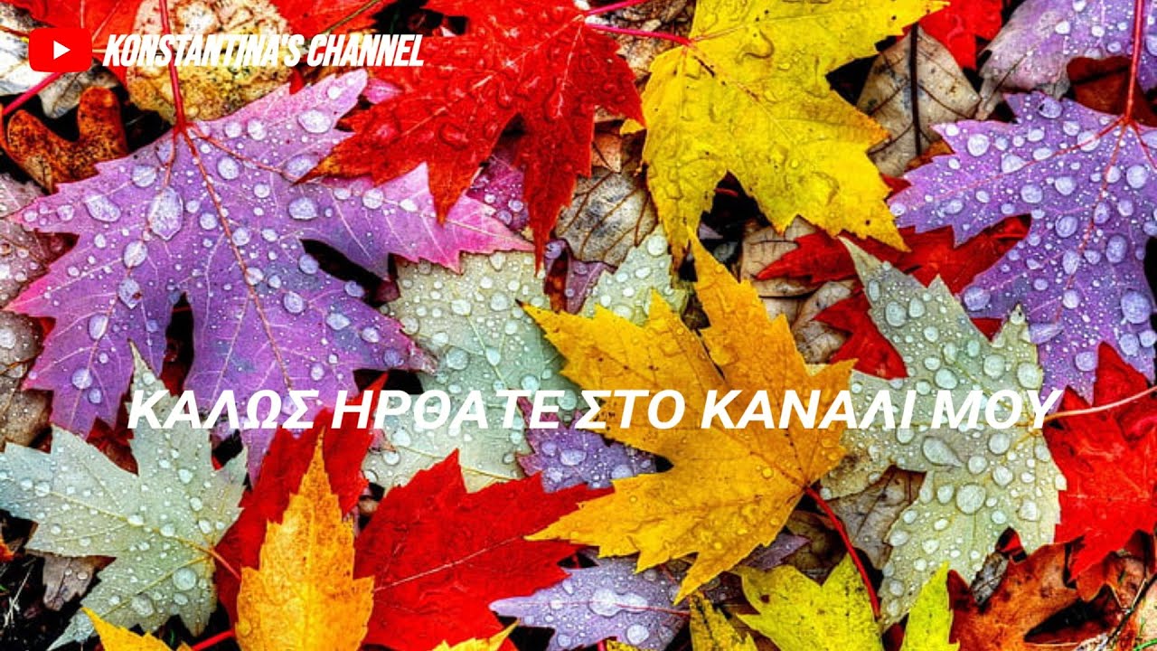 #Jumbo Haul#Ολοκληρωμένη Φθινοπωρινή Διακόσμηση... 🍁🍄🍂💸🛍