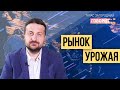 ЗЕМЛЯ В ОДНИ РУКИ. Рынок земли в 2021 году и перспективы фермерства в Украине.