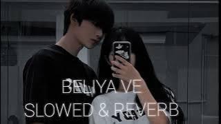 Beliya - Asi Tainu Pyar Nahin Kar de Mohabbat Karde Aa ( Slowed   reverb) || Lo-fi boy vibez