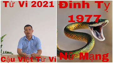 Vận Hạn Của Tuổi Đinh Tỵ 1977 Nữ Mạng Trong Năm 2021 Năm Tân Sửu