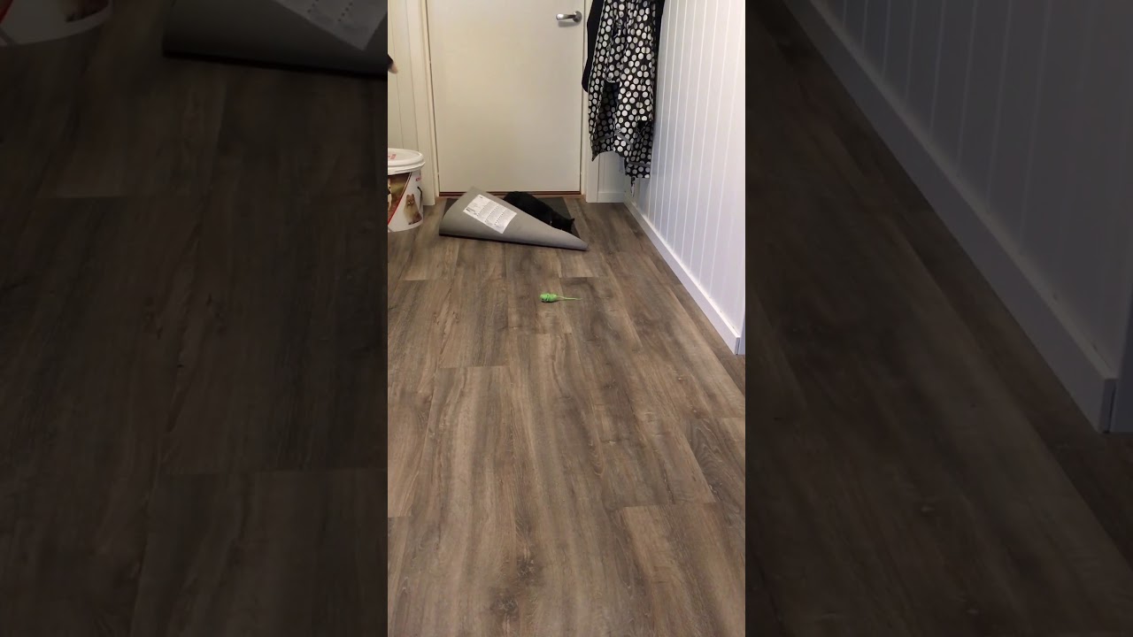 Lerud Kattepensjonat Vesla & Lekemusa