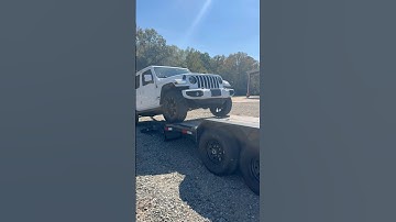 Poor Baby! #shorts #farm #jeep