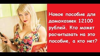 Выплаты домохозяйкам с 2021 года по 12100 рублей. Кому стоит расчитывать на это пособие, а кому нет?