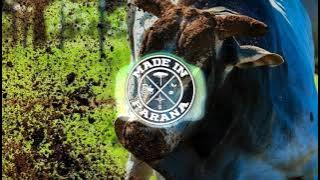 Fernando e Sorocaba - Menina de Fivela (MADE IN PARANÁ EDITION)