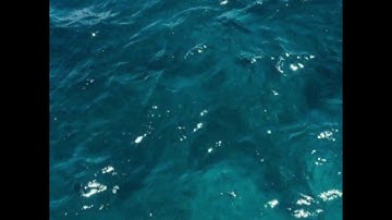 من سورة البقرة |  عمر الرحال