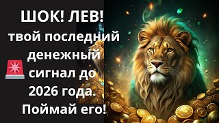 видео: 🦁Шок! Запрещенный 🛑денежный ритуал 🤑ЛЬВЫ, узнайте, как использовать его и стать миллионером до 2026💰 картинка: 🦁Шок! Запрещенный 🛑денежный ритуал 🤑ЛЬВЫ, узнайте, как использовать его и стать миллионером до 2026💰