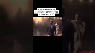 Canserbero en batalla de los gallos