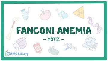 Fanconi anemia (Year of the Zebra 2025)