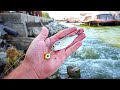 Dropping LIVE SHAD Inside The UNDERGROUND SPILLWAY!!! (One After Another)