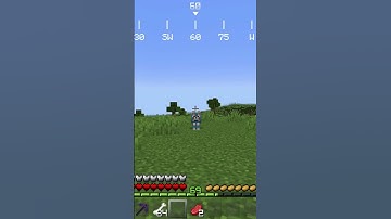 Why are you just standing there? Eggritos Smiling Critters Minecraft Animation.