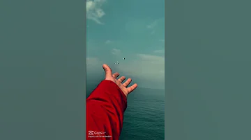طال ليلي والليالي اللهم ردنا إليك ردا جميلا حالات اناشيد المنشد يوسف الايوب ترند 