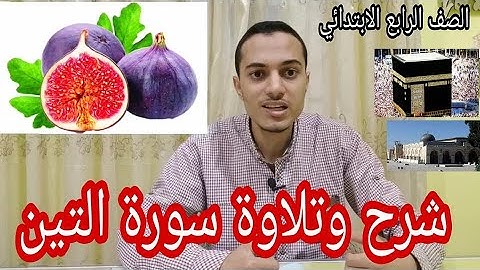 شرح وتلاوة سورة التين _ تربية دينية الصف الرابع الابتدائي , أحمد محمد عبد الجواد