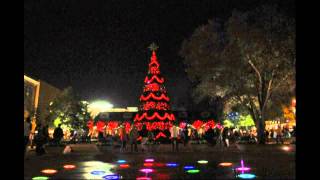 The Woodlands Texas Christmas Tree 2012