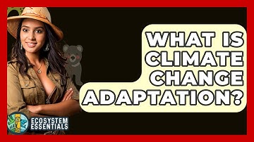What Is Climate Change Adaptation? - Ecosystem Essentials