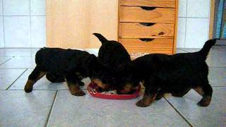 DSCF0423.AVI