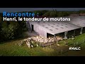 Rencontre  henri le tondeur de moutons