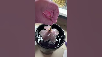 Turn Flowers into Wearable Jewelry Art With Alumilite Amazing UV Resin