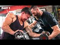 The PERFECT Muscle Growth Program in 10 Minutes || Tristyn Lee