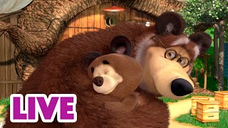 🔴 Live 🐻👧 Masha Y El Oso 2024 👶❤️🥰 El Significado De La Familia 🎬 Masha And The Bear