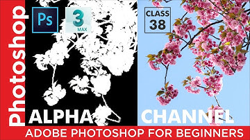 Alpha Channel - Adobe Photoshop for Beginners - Class-38_in Hindi