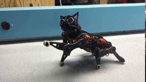Introducing Turbo Nybble | Supercharge Your Robotic Cat | PetoiCamp