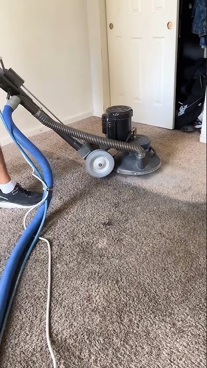 Guzman Carpet Cleaning You