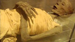 Download 2014 Latest Video Firon Ki Lash Dunya Kay Liye Ibrat Ka Nishan Maulana Tariq J Video MP3 2014 Latest Video Firon Ki Lash Dunya Kay Liye Ibrat Ka Nishan Maulana Tariq J