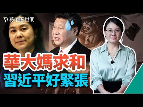 华春莹碰瓷孔子，求和无诚意；《动物庄园》现实版上演，全域红码，走地鸡秒变笼养鸡；习近平要连任，还有最后一关。｜薇羽看世间 第553期 20221012