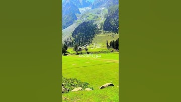 #fatiha #القرآن_الكريم #سورةالفاتحه #egzonibrahimi #naturelovers #beautifull tilawat e Qur'an kareem