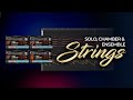 Samplemodeling - Solo, Chamber & Ensemble Strings | Official Showcase