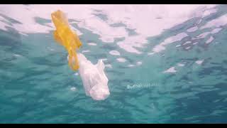 The Great Lakes Plastic Cleanup at WCEF 2021