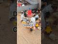😱 Day 3: Sirf 72 Ghante Me Itna Badlav? | Poultry Farming Challenge #poultry #farming